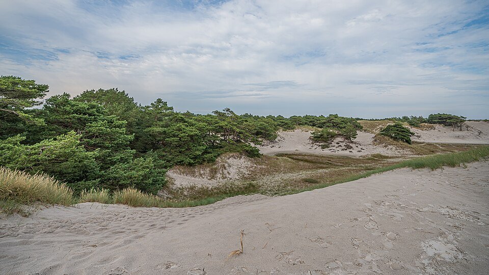 Dueodde sandy beach, Bornholm